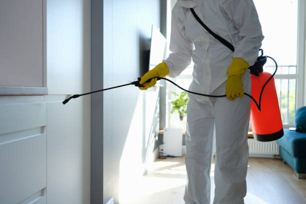 Best Professional Mold Removal  in Olton, TX