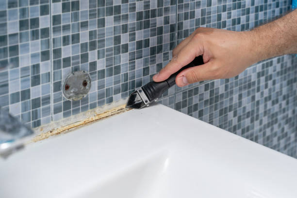 Best Mold Testing  in Olton, TX