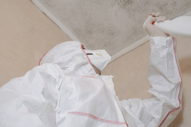 Best Crawl Space Mold Removal  in Olton, TX